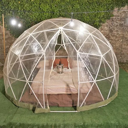The Suite Bubble