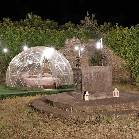 The Suite Bubble *